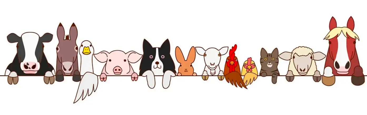 Bannière animaux