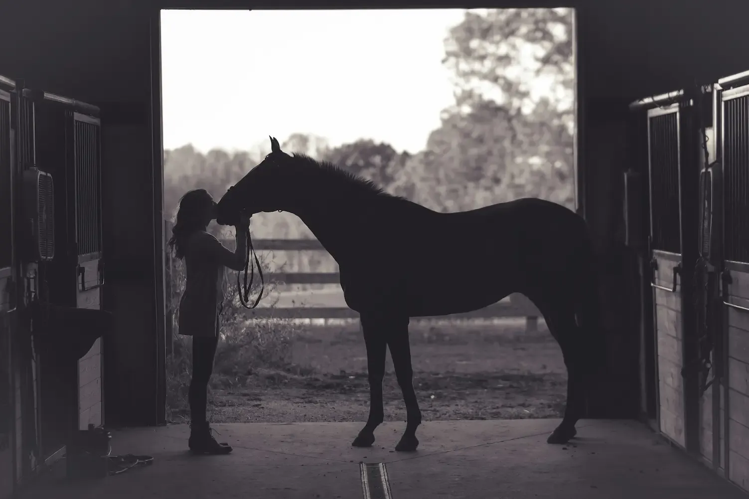 Gardienne et cheval