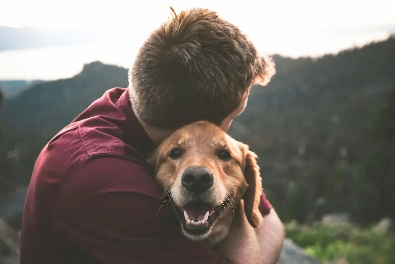 Homme et son chien