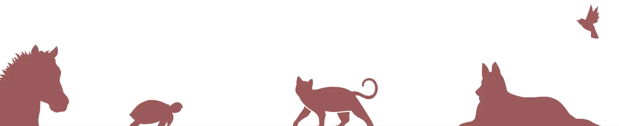 Silhouettes animales